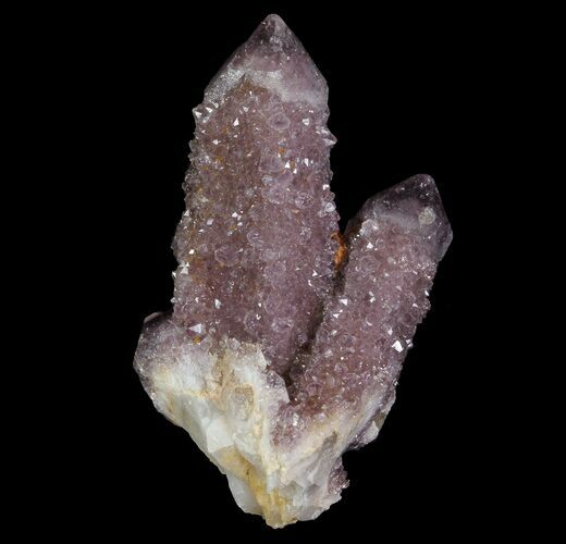 Cactus Quartz (Amethyst) Crystal Cluster - South Africa #64242